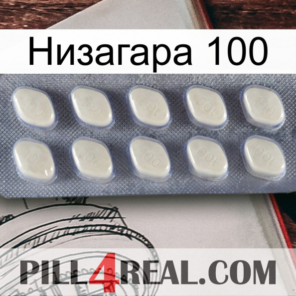 Низагара 100 08.jpg